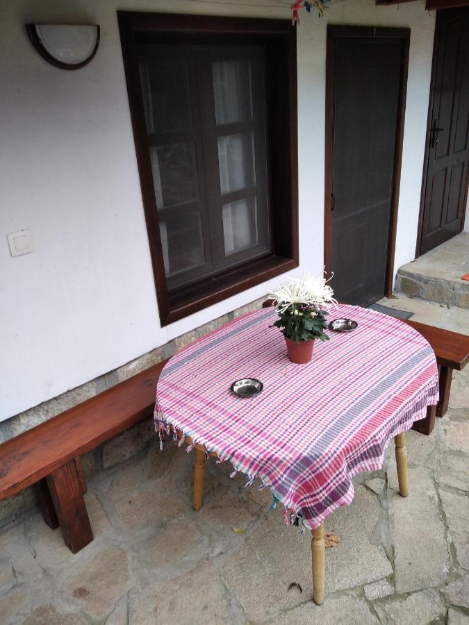 אלנה Razsukanova House , Разсукановата Къща מראה חיצוני תמונה